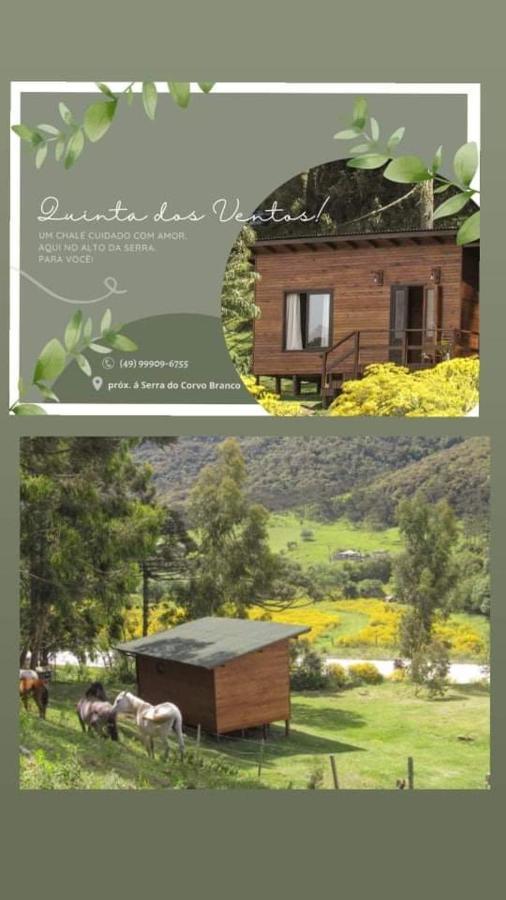 Quinta Dos Ventos Chale Villa Urubici Eksteriør billede