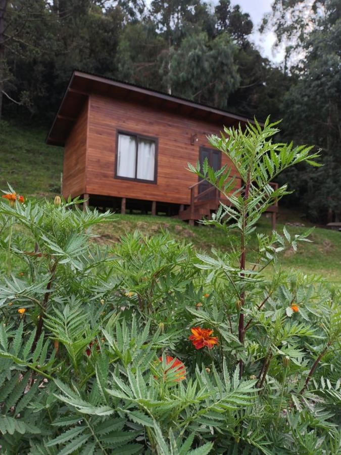 Quinta Dos Ventos Chale Villa Urubici Eksteriør billede